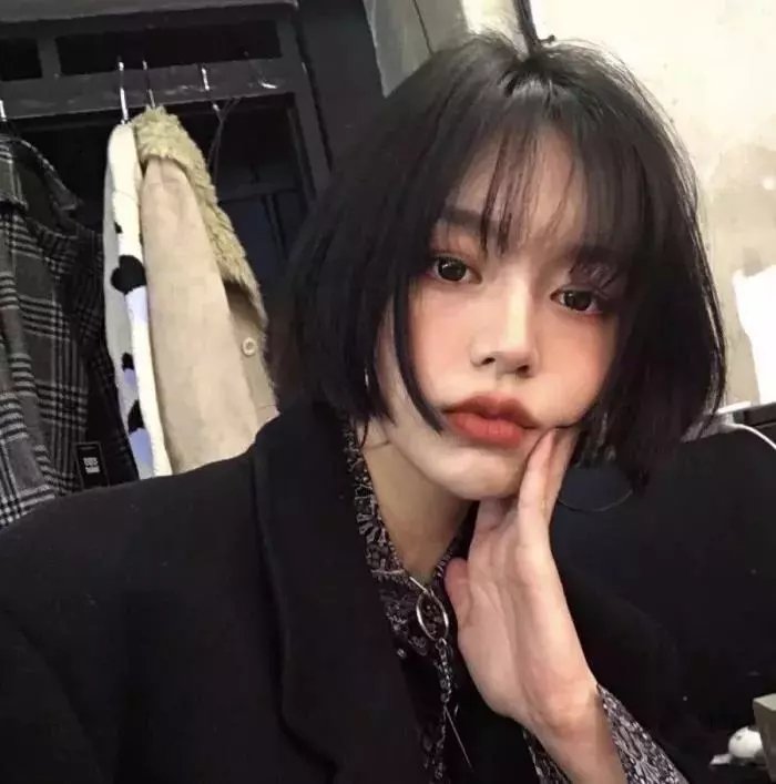 一只狗的大学时光